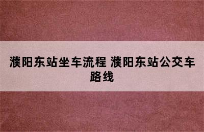 濮阳东站坐车流程 濮阳东站公交车路线
